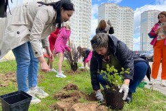 Сад памяти появился у реабилитационного центра «Доброта» на Правобережье 