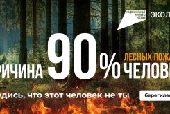 С 16 по 23 июня вводится ограничение на пребывание граждан в лесах Калужской области