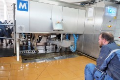 Роботизация молочной отрасли в Калужской области набирает обороты
