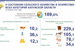 О состоянии сельского хозяйства в Калужской области