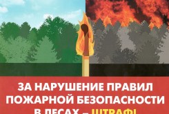 Увеличены штрафы за нарушение требований пожарной безопасности в лесах