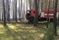 В Калужской области ликвидировали лесной пожар