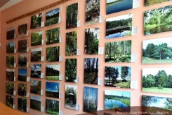 В Жуковском районе открылась фотовыставка, посвященная охраняемым памятникам природы