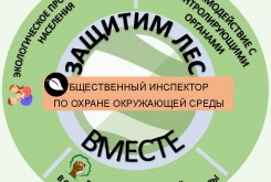 На защите лесов Калужской области стоят 143 общественных инспектора